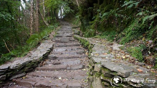 Stone Steps at Torc, The Ring of Kerry Stone Steps at Torc, The Ring of Kerry
