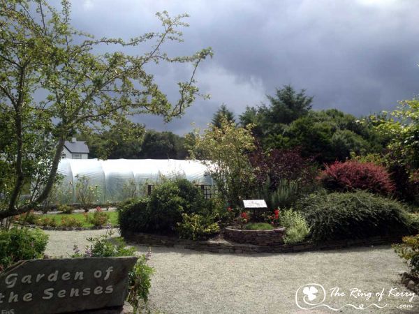 Sensory Gardens Sensory Gardens