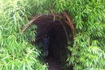 Willow Tunnel in Sneem Sensory Gardens
